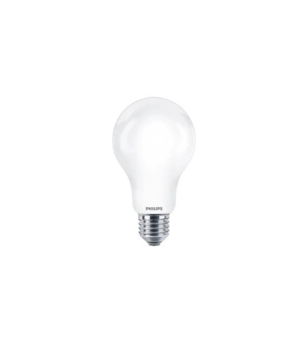 Lampadina goccia smerigliata - goccia,